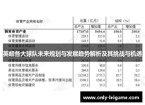 英超各大球队未来规划与发展趋势解析及其挑战与机遇 英超各大球队未来规划与发展趋势解析及其挑战与机遇
