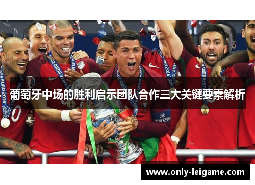葡萄牙中场的胜利启示团队合作三大关键要素解析