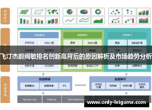 飞汀杰蔚阀敏排名创新高背后的原因解析及市场趋势分析 飞汀杰蔚阀敏排名创新高背后的原因解析及市场趋势分析