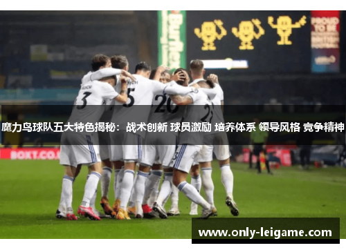 魔力鸟球队五大特色揭秘:战术创新 球员激励 培养体系 领导风格 竞争精神 魔力鸟球队五大特色揭秘:战术创新 球员激励 培养体系 领导风格 竞争精神